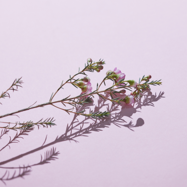 Détox, acide hyaluronique, SPF : les priorités beauté du printemps !