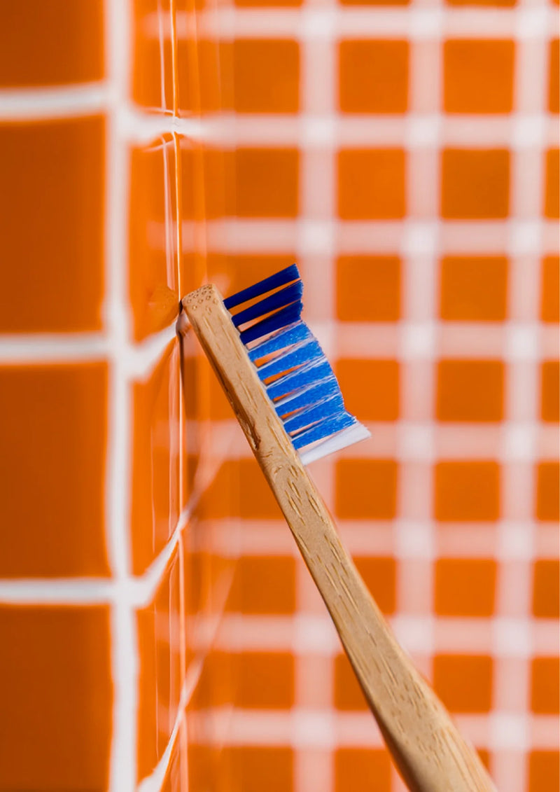Professional Adult Toothbrush | Medium