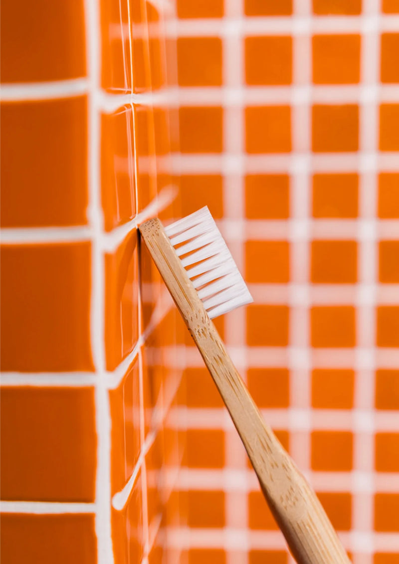 Classic Adult Toothbrush | Medium