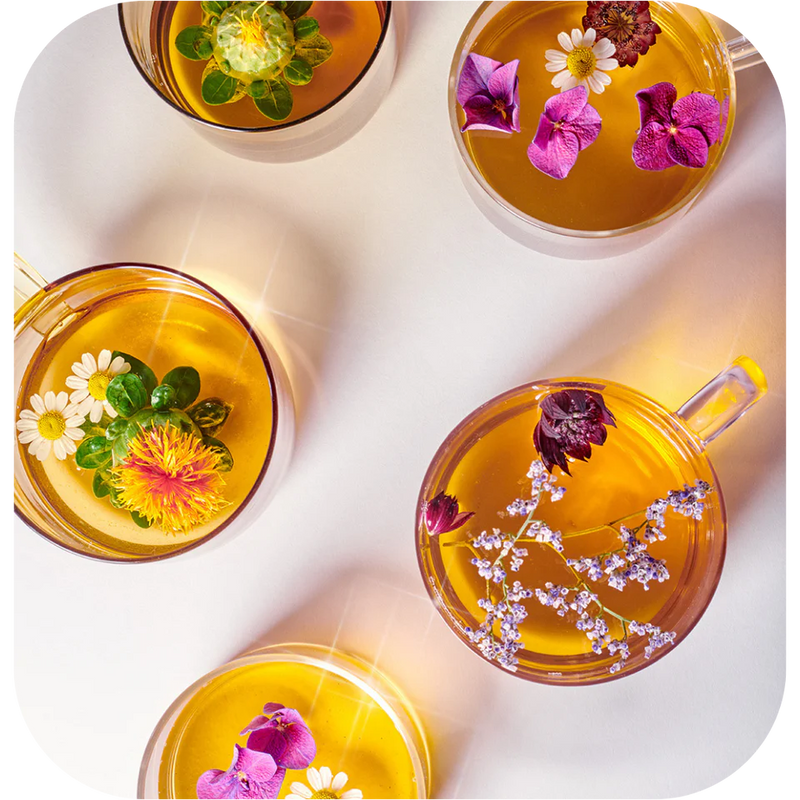 Infusion Eclat | Citronnelle, Pamplemousse & Hibiscus