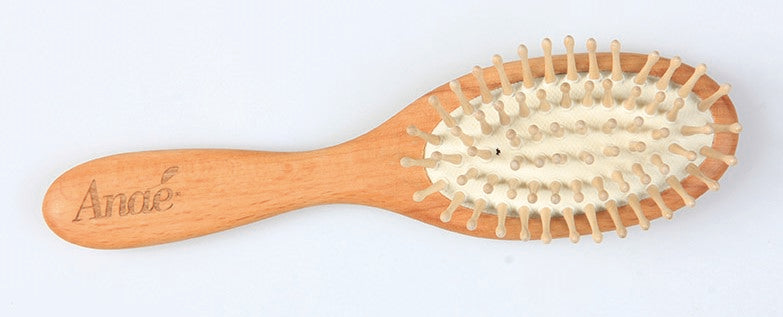 Petite Brosse à Cheveux