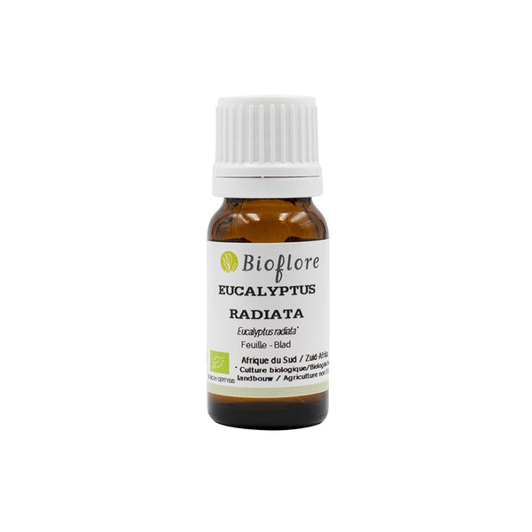 Radiated Eucalyptus Essential Oil